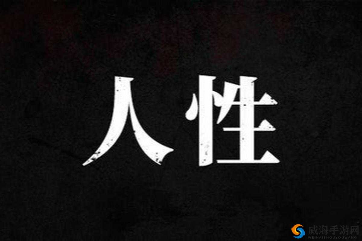 艳母打满：一场别样的情感纠葛与人性探索