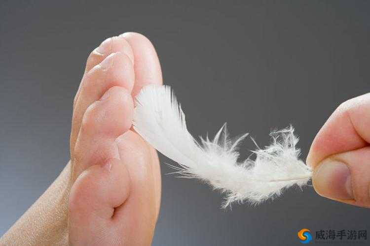 羽毛划脚掌心：独特体验带来的奇妙感受与未知反应
