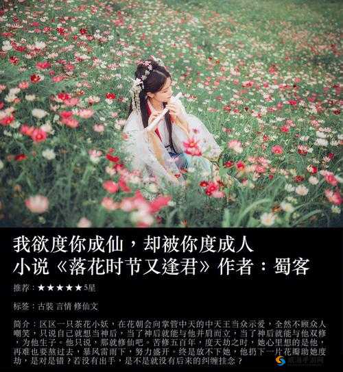 免费又色又爽又黄的小说软件：探索无尽成年人世界的阅读之旅