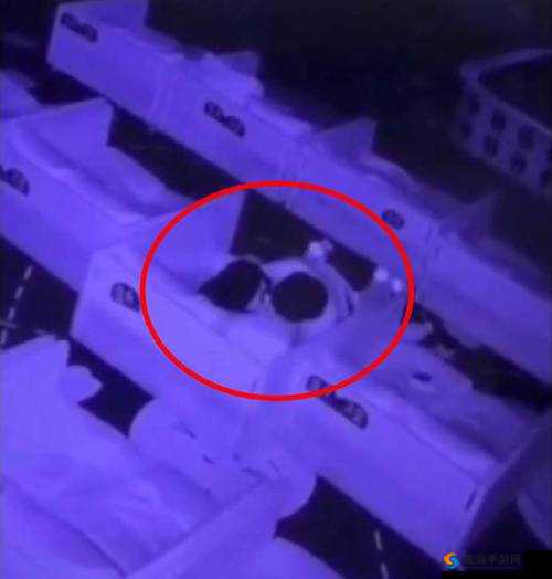 激情对战场面：男女打扑克摇床的火热挑战
