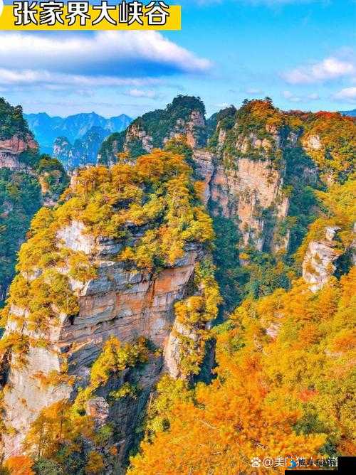 张家界董小宛：抖阴旅行背后的神秘故事