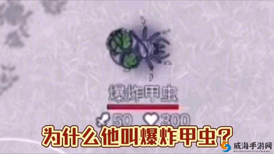 阿瑞斯病蝳爆炸甲虫打法技巧