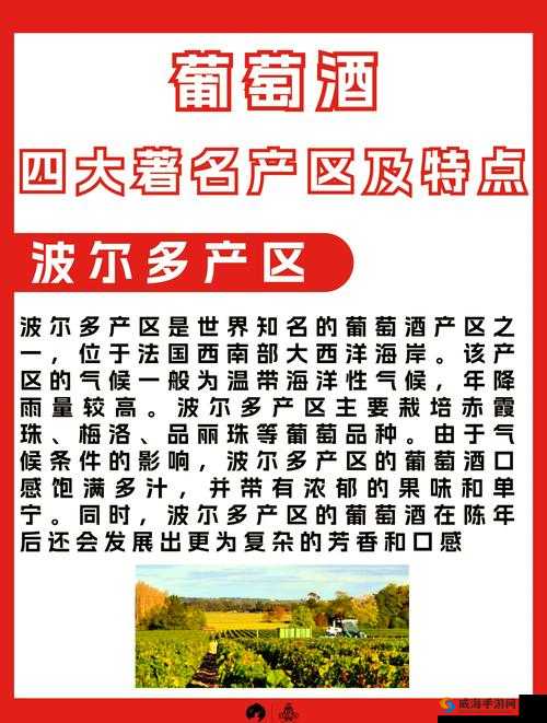 探索欧美精品一产区二产区葡萄酒：品味世界佳酿的独特魅力