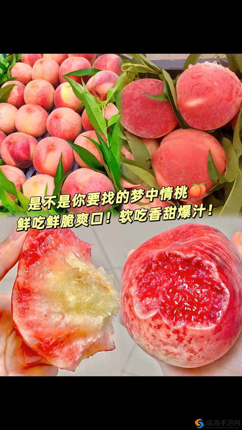 榴莲香蕉苹果哈密瓜水蜜桃已被封禁：这些水果为何遭遇如此情况