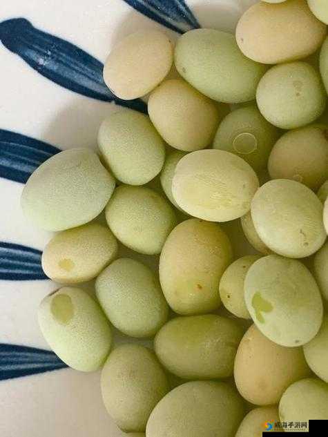 葡萄不准掉出来晚上检查：这是一项重要且必须严格执行的任务