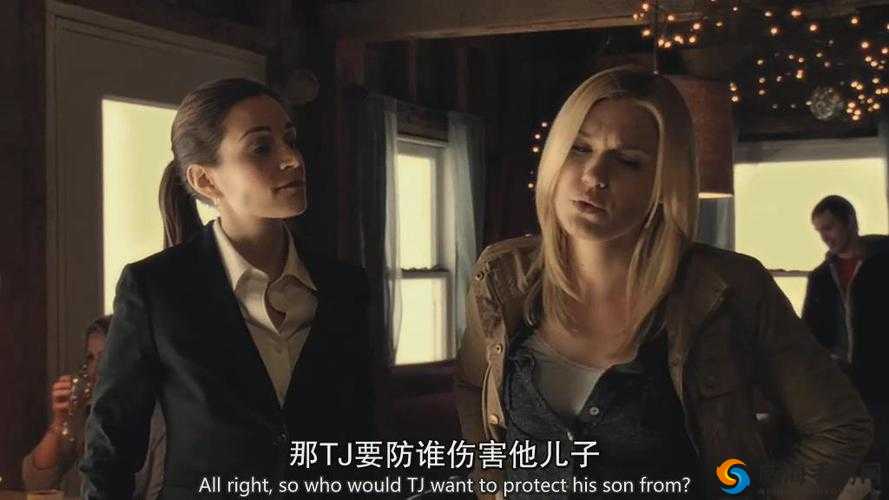 清风阁璜铯视频网站：成年人视频的避风港？