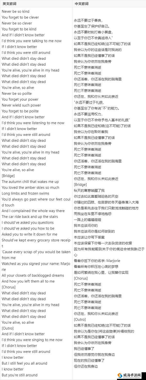 欧美日韩 MV 热曲中那句最火歌词的独特诠释