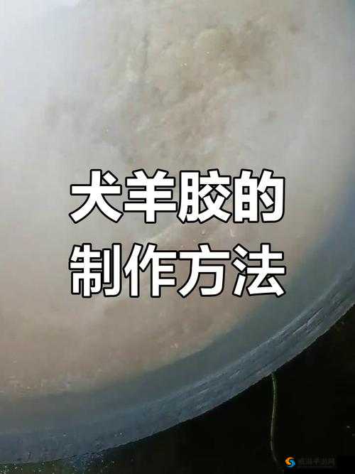 狗狗胶配方视频：详细步骤与注意事项全解析