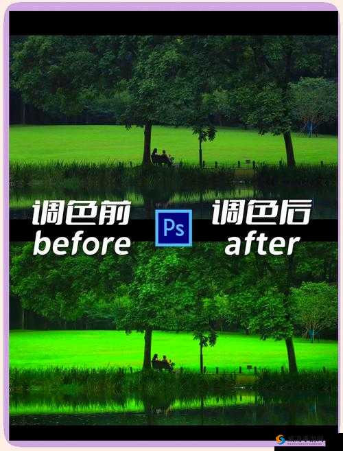 PS 一级二级调色大片视频教程大全：全面系统详细实用的调色教程集合
