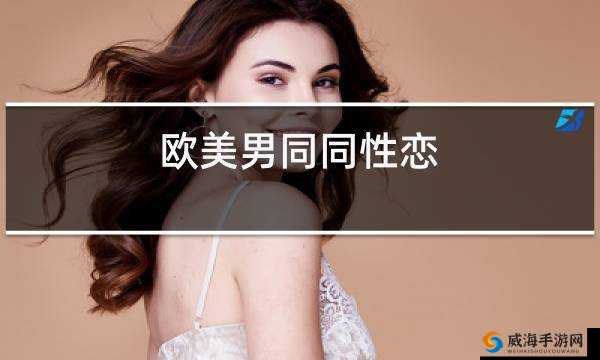 欧美男同志网站:揭秘同志文化的窗口