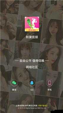 草莓视频：秋葵视频：小猪视频相关内容介绍与分析