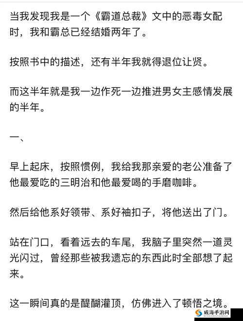 霸道女总裁的特殊癖好:1 对 2