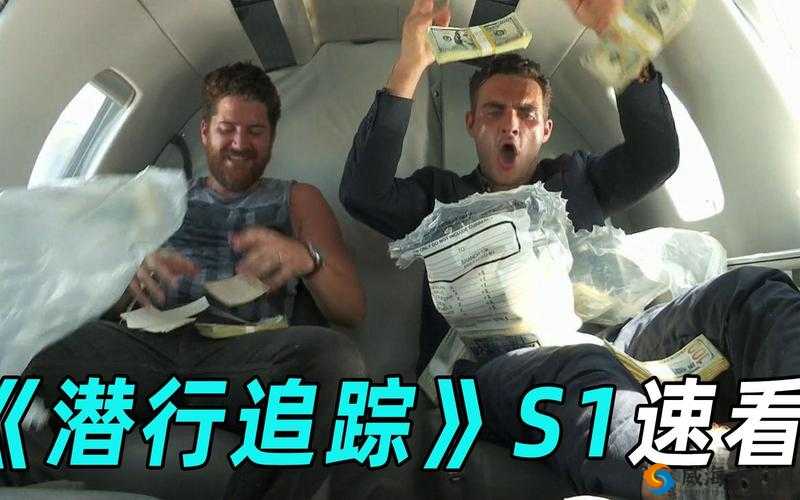 潜行追踪，最强武器选择大揭秘