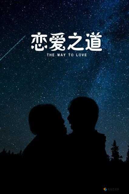 精品无人区一码二码三码四码详细解读与探索