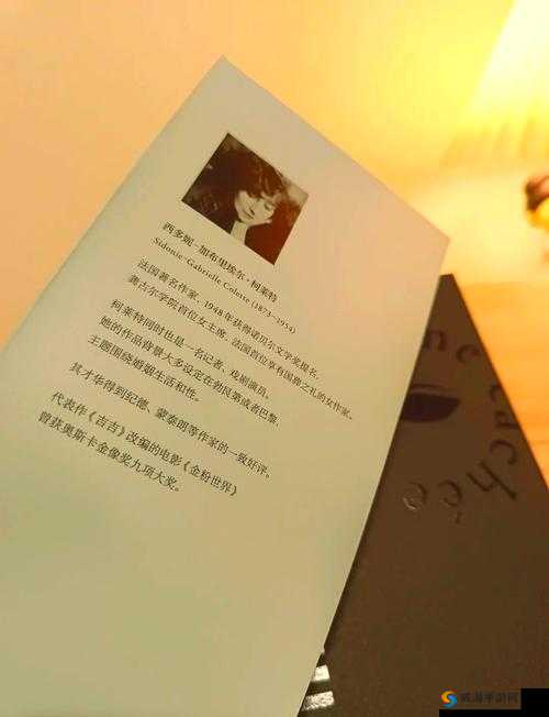 男生之间的私密故事:探索不一样的情感世界