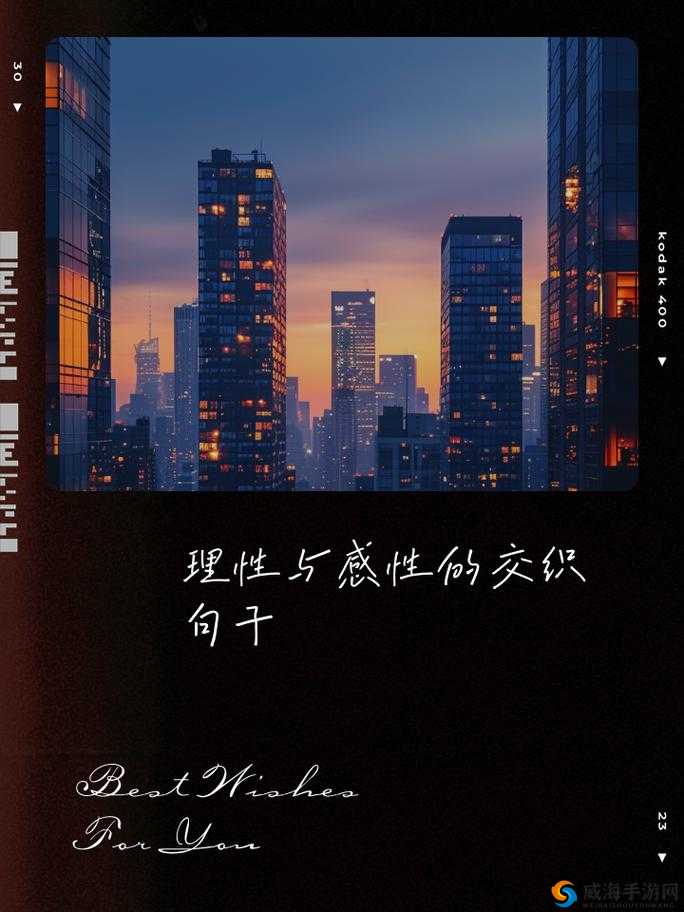 并轨 1v2 阅读：探索不同情感的交织与碰撞