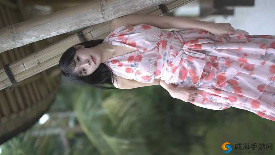 永久免费不收费的国外 B 站：一个令人惊喜的视频平台