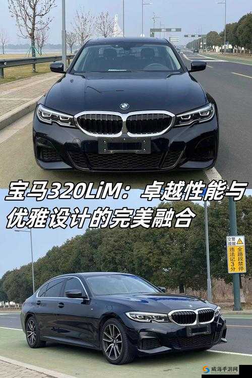 成色好的 S31 标准版：展现卓越性能与精美外观的佳作