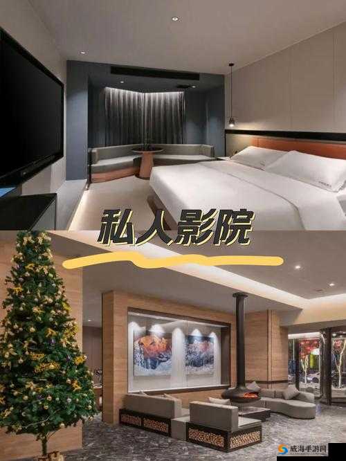 91 成年人精品国语自产拍百度：满足你的私人观影需求