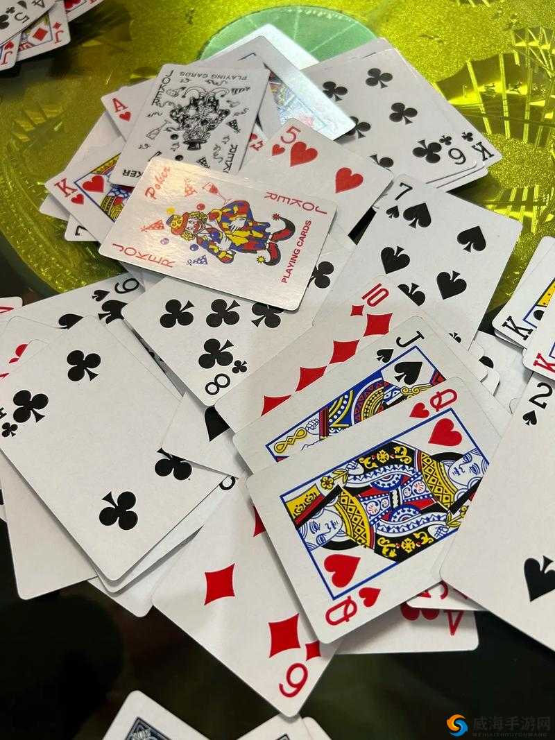 打扑克又疼又叫哔哩哔哩：在牌局中体验别样刺激