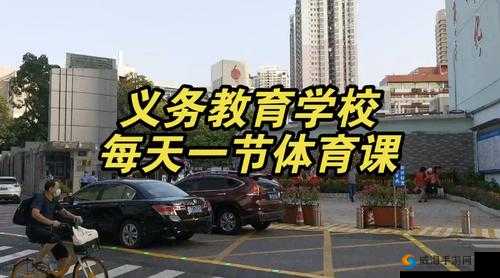 体育老师在单杠下抄了一节课：背后原因令人深思