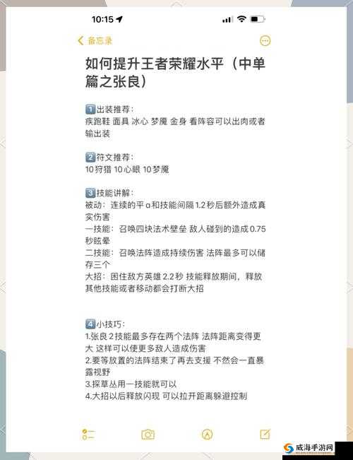 王者荣耀辅助进阶秘籍，掌控视野，决胜千里