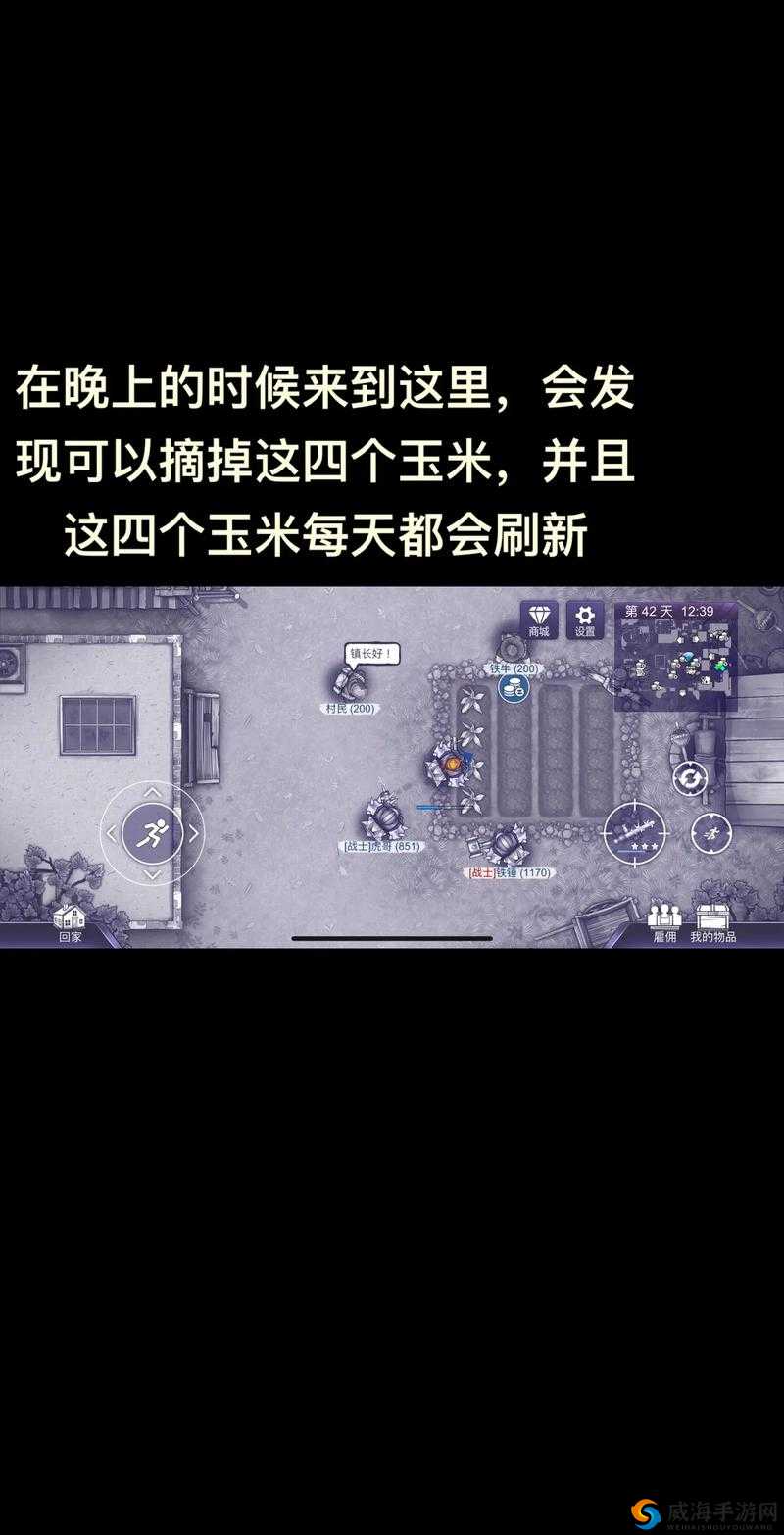阿瑞斯病蝳氪金技巧与配置对应金额一览，资源管理的艺术