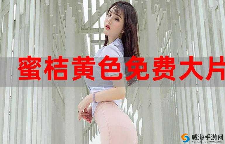 最新璜铯网站在线观看：畅享极致私密视觉盛宴