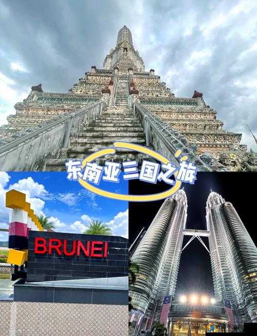 仙踪林网站入口欢迎您免费进入：梦幻仙境，邀您一同探索