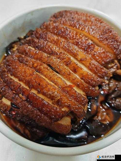 付先生 1VLH 一块五花肉：美食与情感的奇妙交织