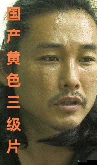 国产璜铯免费资源备受关注且极具争议性