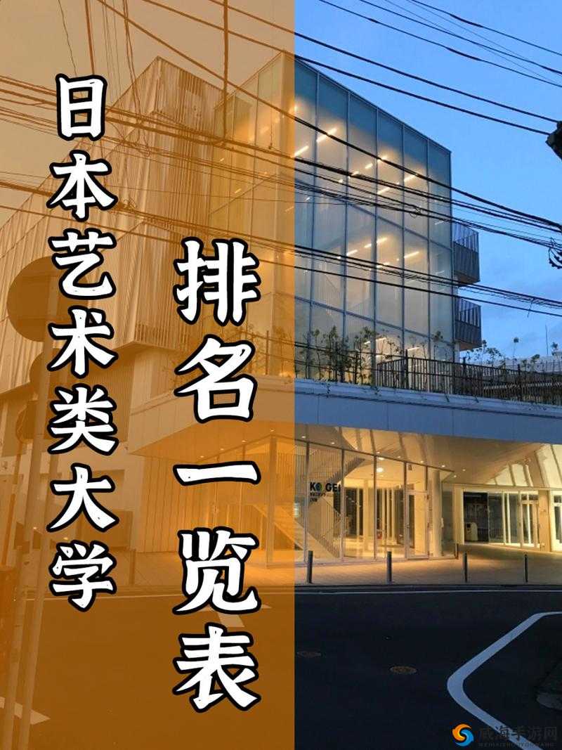 日本顶级艺术类大学：艺术殿堂的璀璨之光