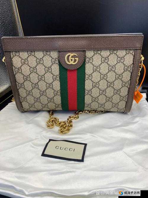 Guccisupreme 系列引领时尚潮流的璀璨之星