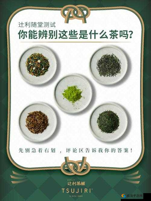 茗心录茶叶一览与煎茶时间汇总