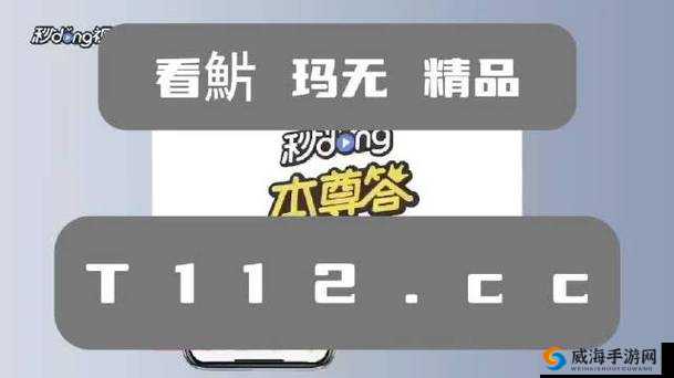 无人区码一码二码三 MBA:关于其深入研究与全面解析