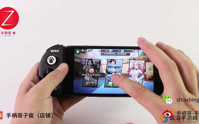 潮人篮球手柄使用方法与设置连接教程在资源管理中的重要性及高效应用