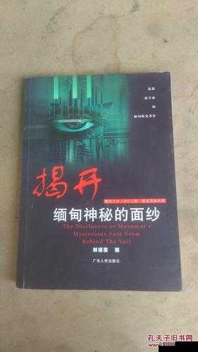 探索神秘的 com.魅狐直播北部网站软件：揭开其背后的神秘面纱