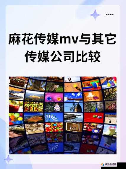 麻花传媒 CEO 从创业起步到商业成功的轨迹探索
