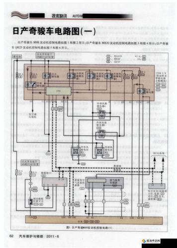 成长日产免费线路一二三四区别：探索人生道路的指南
