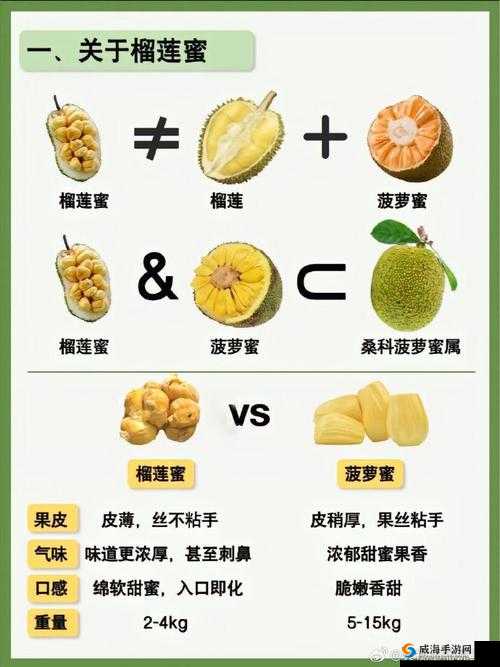 榴莲草莓西瓜茄子黄瓜：五种蔬果的奇妙组合与特点解析