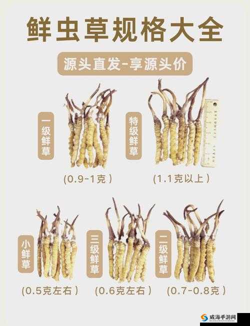 老牛嫩草一二三产品在功能、特点及适用范围上的具体区别是什么