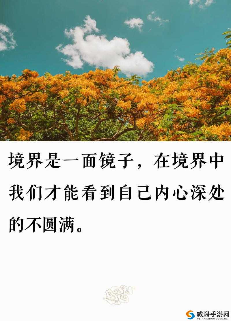 看镜子里结合的地方的感悟：探寻自我与真实的深刻思索