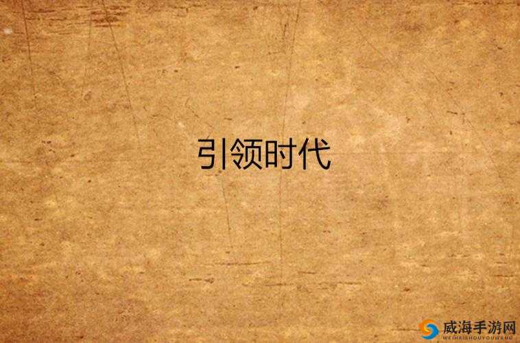 XXXX 软件:XXXX 新时代的引领者