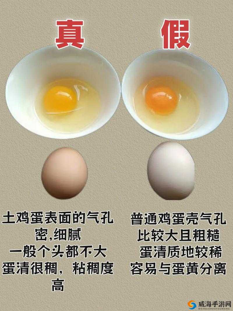 B 里究竟能放多少个鸡蛋的神奇图片解读