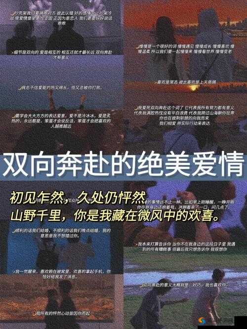 双向奔赴 1V1 定制拍摄视频:专属浪漫的极致呈现