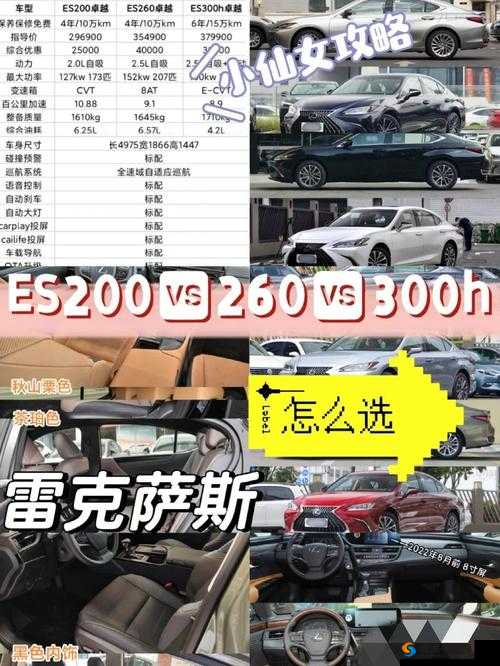 Sadowsky 日产和美产差别之深入分析与全面对比