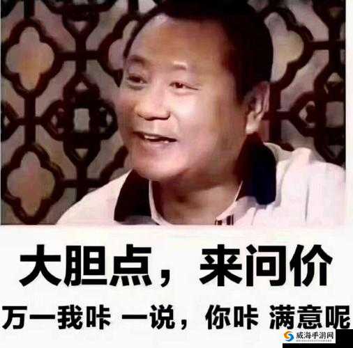 91 就要鲁：这是一个非常特别且有趣的表达