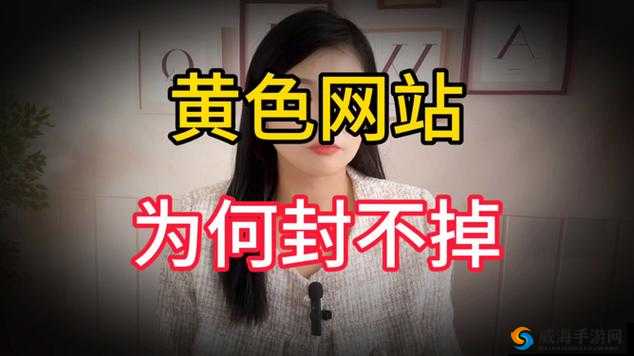 关于 404 璜铯视频相关内容的探讨与分析