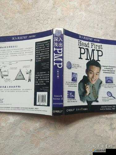 深入浅出 PMP 不慎意外走红：背后原因及影响分析