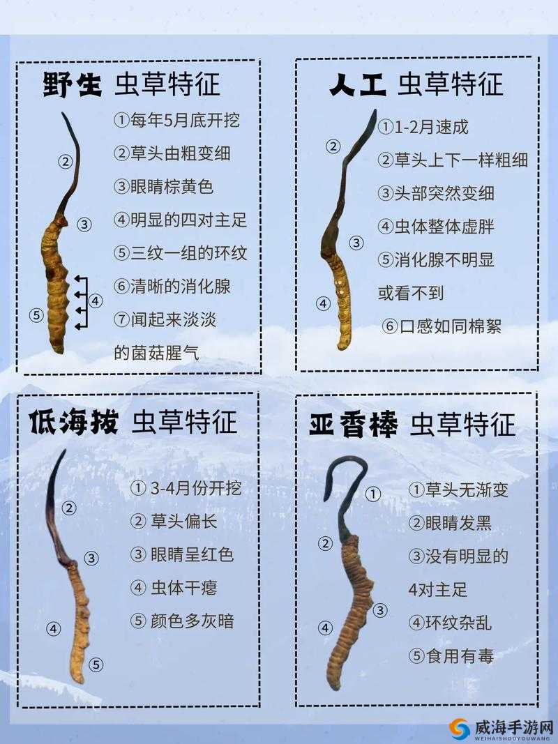 野草乱码一二三四的区别究竟在哪呢